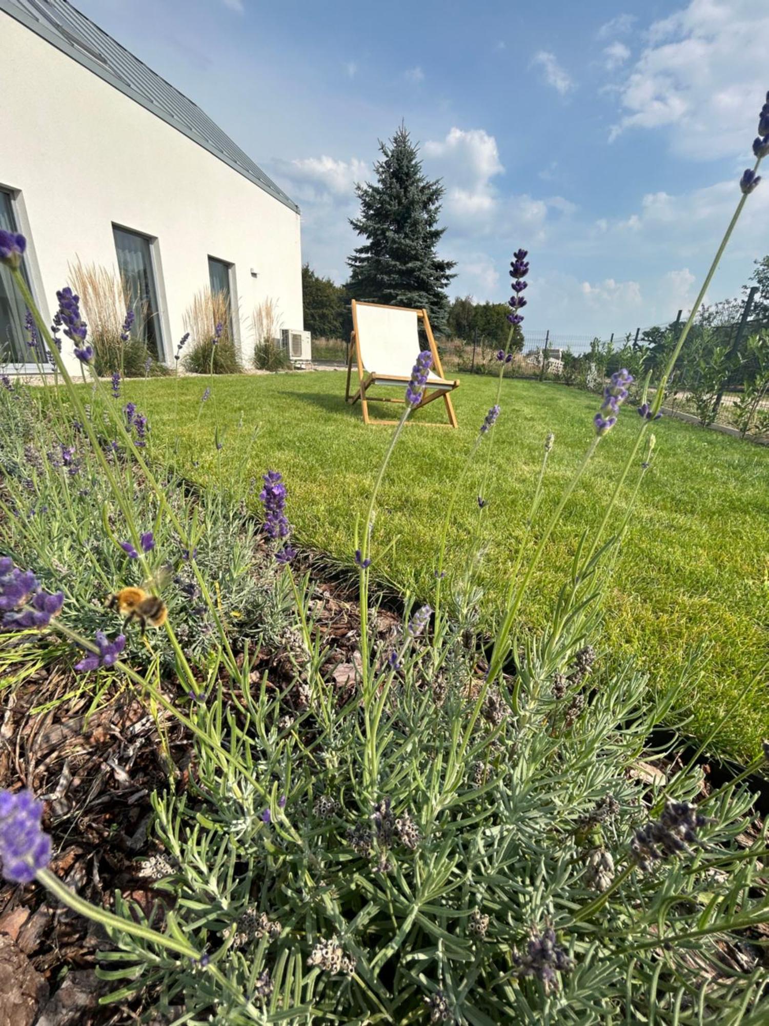 Holiday home Biala Czapla